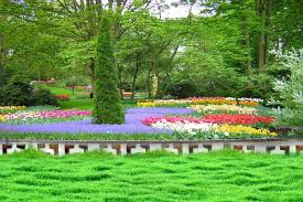Nature Photoshop Background Widescreen Wallpapers Nature Background For Photoshop 394963 Hd Wallpaper Backgrounds Download Wallpapers nature full hd 1920x1080, desktop backgrounds hd 1080p.