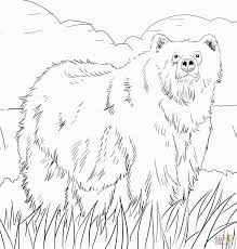 You might also be interested in coloring pages from nfl, sports categories. Chicago Bears Logo Coloring Pages Bears Coloring Bears Coloring Coloring Home