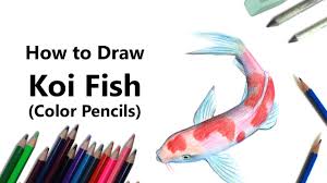 We did not find results for: How To Draw A Koi Fish With Color Pencils Time Lapse Youtube