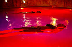 To minimize that discomfort, there are tanks. Lava Float Pool Spa Costa Meloneras Lopesan Hotel Group Hotel Group Hotel Group Gran Canaria Canarias Float Spa Spa Pool Float Therapy