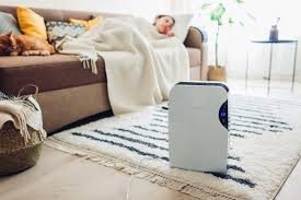 Vacuum before you use your dehumidifier for the first time. Best 17 Dehumidifiers In Singapore To Better Safeguard Your Health 2021