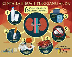 Menjaga kesihatan buah pinggang seringkali dianggap remeh pabila kita tidak menyedari kepentingannya. Sihat Badan 4 0 6 Cara Menjaga Kesihatan Buah Pinggang Facebook
