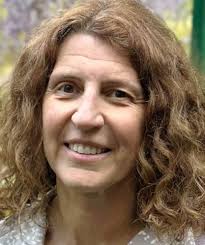 Community Meeting Presentation: Mestizo Curtis Park Pool Renovation