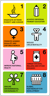 The millennium development goals (mdgs) were eight international development goals for the year 2015 that had been established following the millennium summit of the united nations in 2000, following the adoption of the united nations millennium declaration. Mdgs Farming First