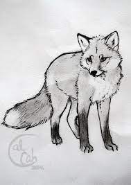 Learn how to draw a fox. Tattoo Sketch Fox By Calcah On Deviantart Animal Sketches Fox Art Animal Art