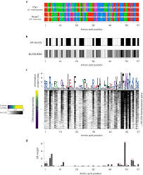 Similarity Regression Predicts Evolution Of Transcription