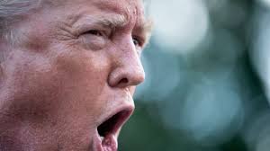 Regeringen löfven ii) is the present government of sweden. Trump Jag Ar Valdigt Besviken Pa Statsminister Stefan Lofven Dramat Kring Rapparen Asap Rocky Fortsatter Utrikes Svenska Yle Fi