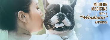 Top keywords % of search traffic. The Whole Pet Vet Thewholepetvet Twitter