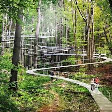 Parks Der Zukunft Konnen Erhohte Gehwege Durch Baume Einschliessen Baume Der Durch Einschliessen Erhohte Gehwege Konnen In 2020 Parks Landschaftsplanung Gehwege