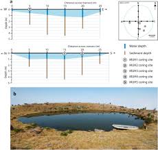 Image result for Hyparrhenia mobukensis