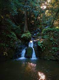 Save up to 50% on your reservation. Top 10 Marin County Waterfall Hikes Ronnie S Awesome List