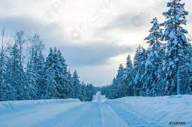 Dieser pinnwand folgen 261 nutzer auf pinterest. Leere Strasse Im Finnischen Wald Im Winter Foto Vorratig Crushpixel