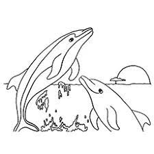 Top 20 Free Printable Dolphin Coloring Pages Online