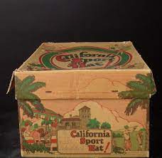 1920s Straw Felt Cloche With Hat Box