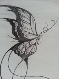Pencil Sketches Of Butterflies On Flowers Original Design Of A Large Butterfly Things I Like Jpg 2448 3264 Dovme Sanati Cizimler Cizim Fikirleri