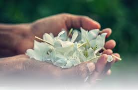 The university will be contributing admission into students need to fill the online application form through a registered mobile number. Firmenich World S Largest Privately Owned Fragrance And Taste Company