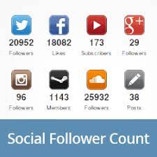 Then go through the settings and configure the followers counter: How To Display Social Media Followers Count As Text In Wordpress