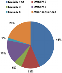 Several Onsen Genomic Copies Contribute To The