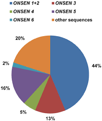 several onsen genomic copies contribute to the