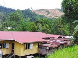 Malaysia is a country rich with gorgeous beaches, and its offshore islands are home to some of the best of them. Malaysia The Murut Struggle Against Palm Oil For Land And Life Land Portal