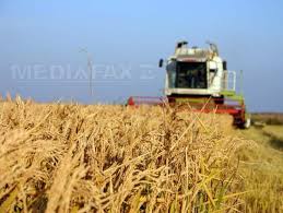 Raspunsul oferit este in concordanta cu legislatia in vigoare la data de 15 mai 2015. Cate Cereri Pentru SubvenÅ£ii A Primit Apia De La Fermieri