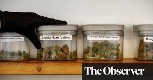 Given this long list of withdrawal symptoms, it's a wonder that anyone tries to reduce or stop using cannabis. Dutch High Hopes For Legal Cannabis Farms Hit By Nimby Protests Netherlands The Guardian