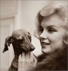 Love Crusoe and Oakley videos for kids