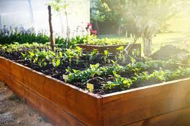 Gardener's supply designed this cedar raised garden planter box generously deep so you can grow big plants like tomatoes and root crops like carrots. 4 Best Raised Garden Bed Options For The Backyard Bob Vila