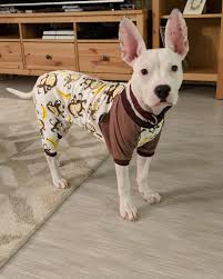If the puppy or dog continues to try to bite after you give the verbal no bite try putting a few pennies or marbles in a clean tin can. So Our Puppy Won T Stop Scratching And Biting Herself So We Have To Keep Her Clothed At Least Now She Gets Her Own Jammies Aww