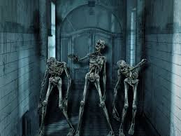 Horror Skeleton Skull Weird Halloween Scary Skull Wallpaper Scary Skull 2000x1500 Download Hd Wallpaper Wallpapertip We have 47+ amazing background pictures carefully picked by our community. horror skeleton skull weird halloween