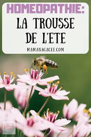Homeopathie Pour L Ete Notre Trousse Bobos Et Piqures Homeopathie Trousse Piqure