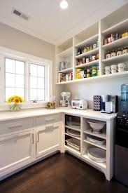 11 Design Ideas Perfect For Your Pantry Renovation In 2020 Open Kitchen Shelves Open Shelving Kitchen Cabinets Sleek Kitchen Design