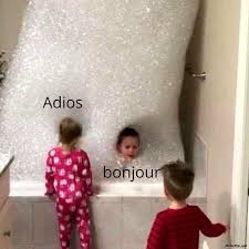 Definition of a meme / memetics. Adios Bonjour Meme Memezila Com
