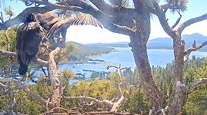 Sonakshi sinha ki chudai photo