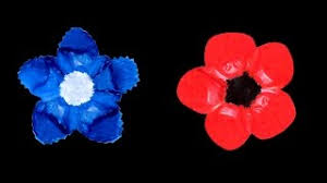 Bouquet coquelicot bleuet marguerite : Bleuet Et Coquelicot Pour Le Jour Du Souvenir Youtube