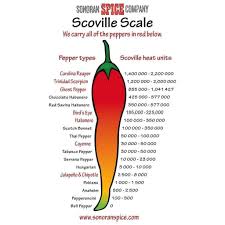 Chipotle Pepper Powder