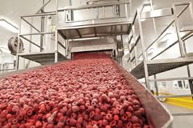 Check out tips & tricks from glad®. Putting The Freeze On Nitrogen Usage 2013 04 08 Food Engineering