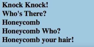 Police stop telling these awful knock knock jokes! Pin On Jokes
