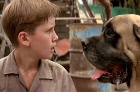 Living In The Sandlot Really Cute Dogs Sandlot Dog The Sandlot