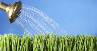 Pin On Missionary Life