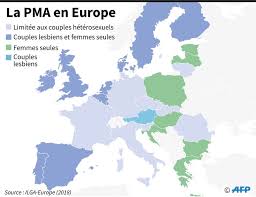 La procréation médicalement assistée (pma) ou assistance médicale à la procréation (amp) rassemble toutes les pratiques cliniques et biologiques où la. La Pma Pour Toutes Les Femmes Est Presentee Ce Matin En Conseil Des Ministres