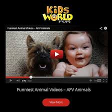 funny video clips for kids from kids world fun funny animals funny animal videos funny videos for kids