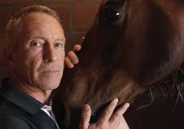 Amahashe Saddle Pads