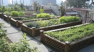 I built the wall frames on the ground using 3x2 timber and wood screws. How To Make Your Own Terrace Garden Step By Step Guide