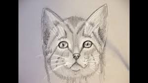 Volevo un gatto nero canzoni famose su filastroccheit. Come Disegnare Un Gatto Corso Di Disegno Per Bambini How To Draw Cat Youtube
