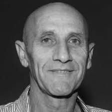 Who are the hostages freed during the Israel-Hamas conflict?