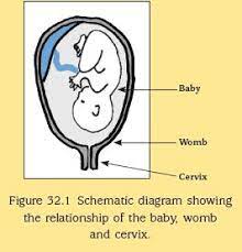 Am I In Labour