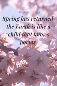 Image result for spring quotes