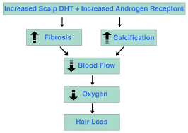 I've been on lupron for 3 years and 10 months and am age 69 now. The Ultimate Hair Loss Flowchart Why We Lose Our Hair