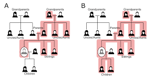 Dna fingerprinting relies on the fact that the dna code is universal for all living things and that there are. Https Publications Jrc Ec Europa Eu Repository Bitstream Jrc116742 Sis Dna Jrc Science For Policy Report With Identifiers Pdf